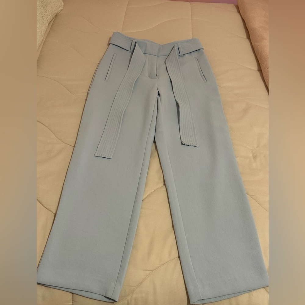 Aritzia Wilfred dress pants